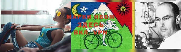 гидропоника Алзамай