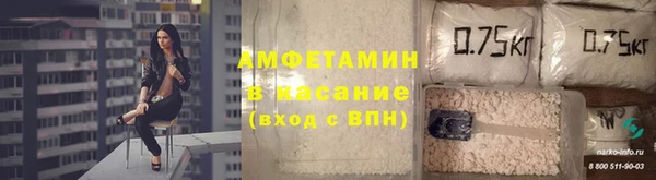 гидропоника Алзамай