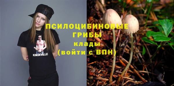гидропоника Алзамай