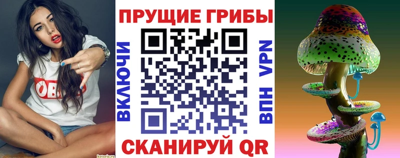 закладки Балашов Псилоцибиновые грибы Magic Shrooms