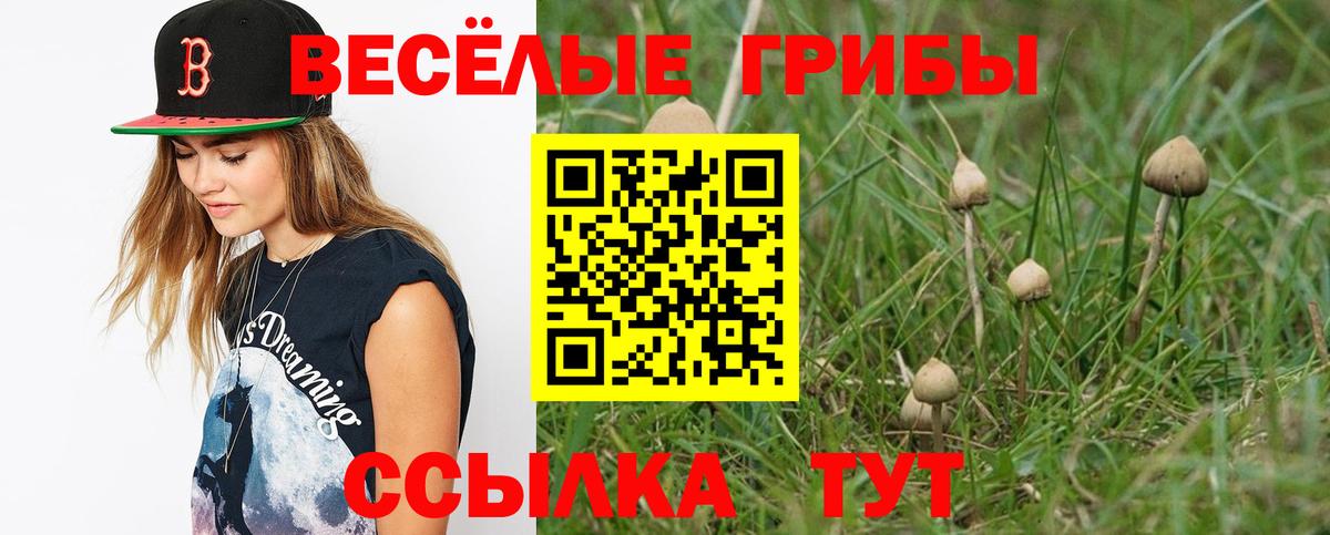 Галлюциногенные грибы прущие грибы Балашов