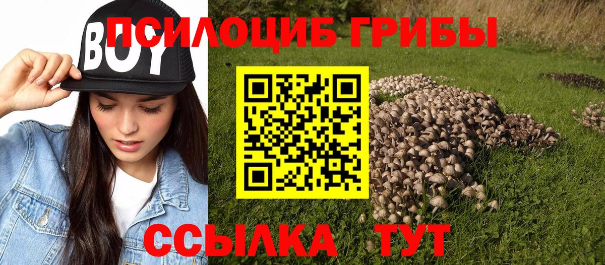 Галлюциногенные грибы Psilocybine cubensis  Вход с VPN  Балашов  Галлюциногенные грибы Magic Shrooms 